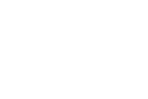 EverWellC60